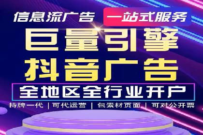 成功SEM服务案例分析报告